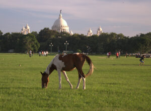 victoria memorial kolkata,maidan