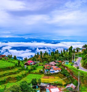 darjeeling